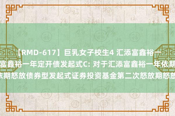 【RMD-617】巨乳女子校生4 汇添富鑫裕一年定开债发起式A,汇添富鑫裕一年定开债发起式C: 对于汇添富鑫裕一年依期怒放债券型发起式证券投资基金第二次怒放期怒放申购、赎回业务的公告