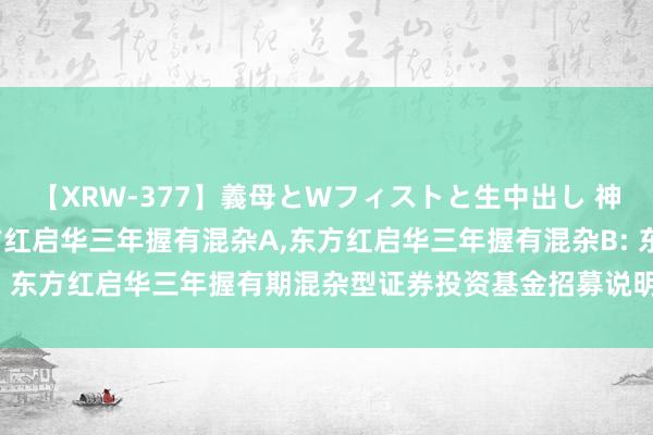 【XRW-377】義母とWフィストと生中出し 神崎まゆみ 桃宮もも 东方红启华三年握有混杂A,东方红启华三年握有混杂B: 东方红启华三年握有期混杂型证券投资基金招募说明书(更新)(2024年第2号)