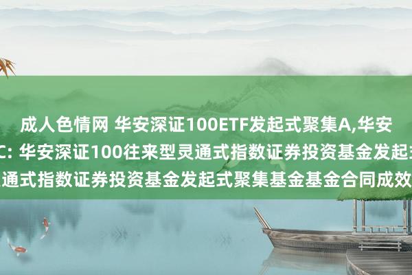 成人色情网 华安深证100ETF发起式聚集A,华安深证100ETF发起式聚集C: 华安深证100往来型灵通式指数证券投资基金发起式聚集基金基金合同成效公告