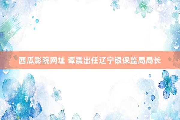 西瓜影院网址 谭震出任辽宁银保监局局长