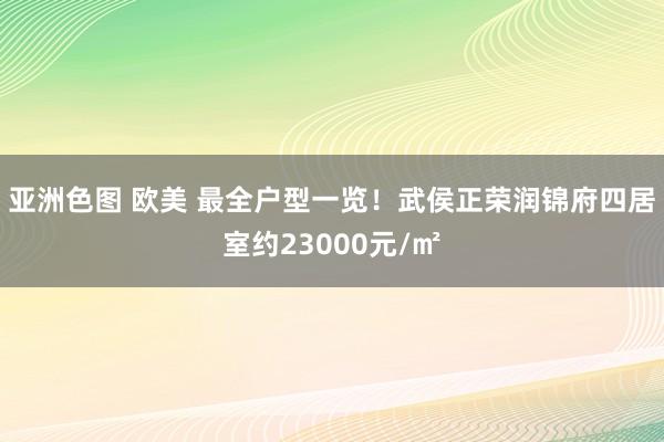 亚洲色图 欧美 最全户型一览！武侯正荣润锦府四居室约23000元/㎡