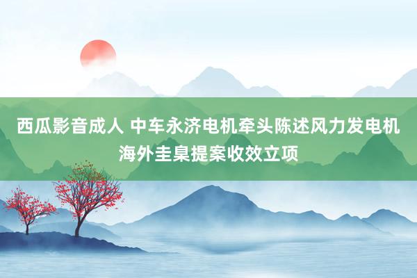 西瓜影音成人 中车永济电机牵头陈述风力发电机海外圭臬提案收效立项