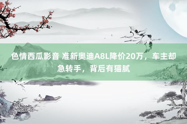 色情西瓜影音 准新奥迪A8L降价20万，车主却急转手，背后有猫腻