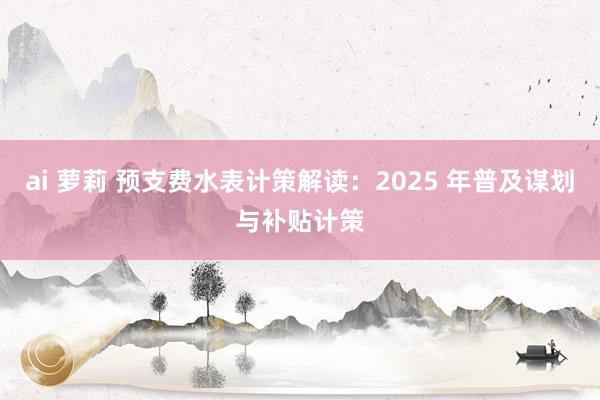 ai 萝莉 预支费水表计策解读：2025 年普及谋划与补贴计策