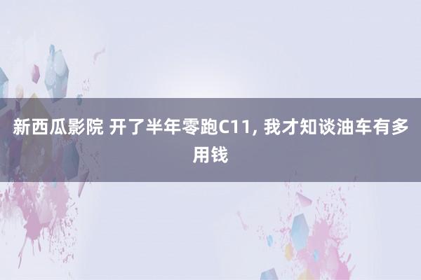 新西瓜影院 开了半年零跑C11， 我才知谈油车有多用钱