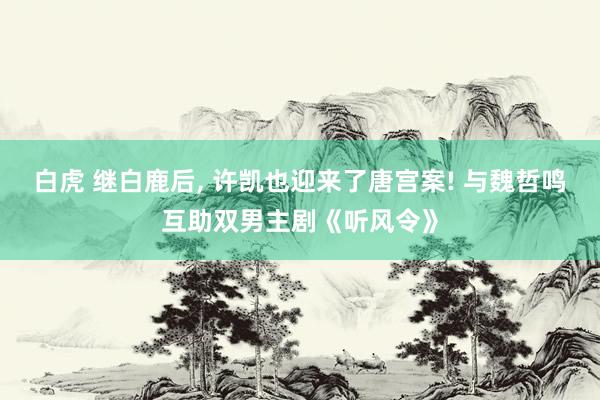 白虎 继白鹿后， 许凯也迎来了唐宫案! 与魏哲鸣互助双男主剧《听风令》