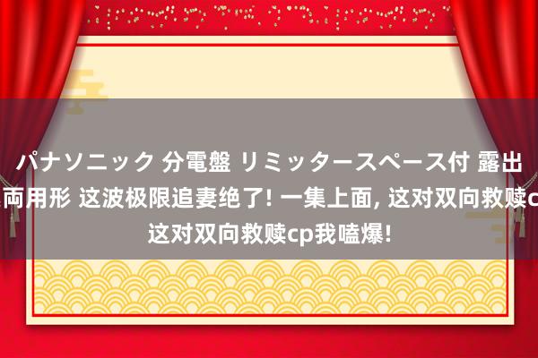 パナソニック 分電盤 リミッタースペース付 露出・半埋込両用形 这波极限追妻绝了! 一集上面， 这对双向救赎cp我嗑爆!