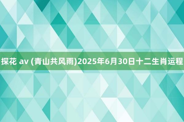 探花 av (青山共风雨)2025年6月30日十二生肖运程